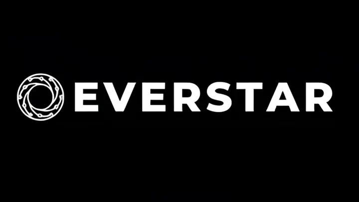Everstar, Borusan Ventures'ın dahil olduğu yatırım turunda 5,5 milyon dolar fon sağladı.