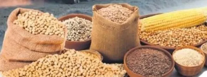 Tarım Ürünlerinde Üretici Fiyatları Yıl Sonunda Yine Yükseldi