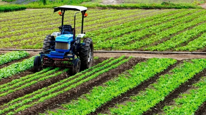 TÜİK Verileri: Tarım Üretici Fiyatları Haziranda Aylık Yüzde 9,02 Geriledi