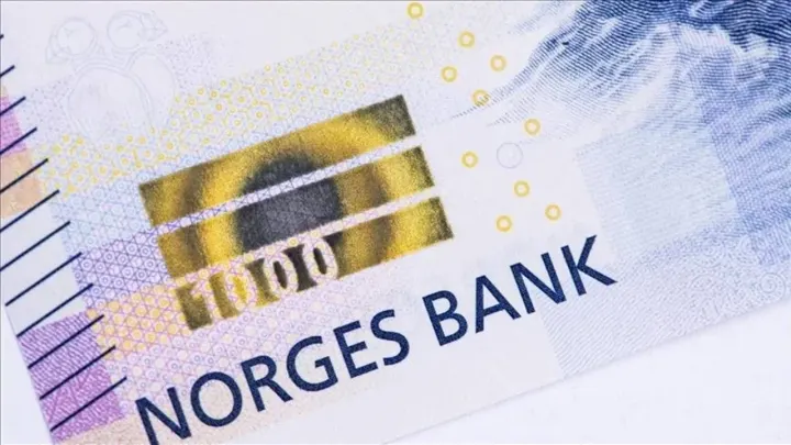 Norveç Varlık Fonu’ndan Türkiye’ye Güçlü Yatırım Hamlesi