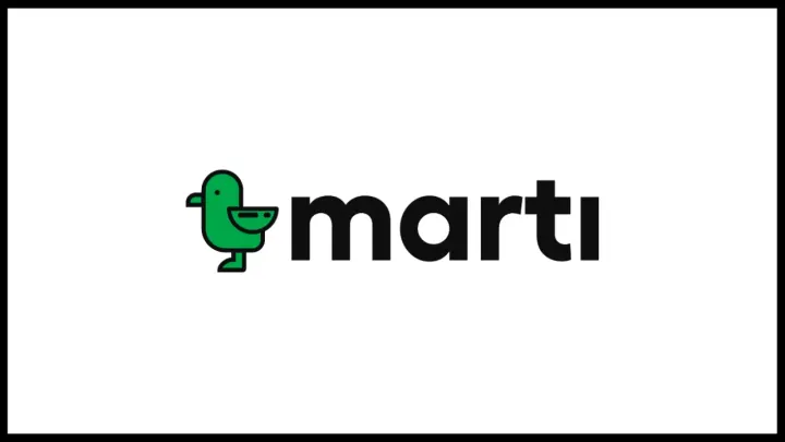 Martı, Danıştay kararıyla e-ulaşım lisansını elde etti.
