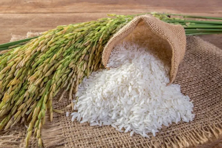 Pirinç ve Çeltik İthalatında Yeni Karar! Gözetim Başladı