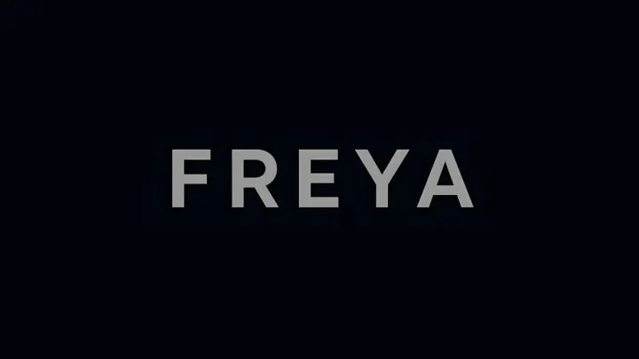 Yapay zeka girişimi Freya, DOMiNO Ventures'ın destek verdiği yatırım turunda 3.5 milyon dolar fon sağladı.