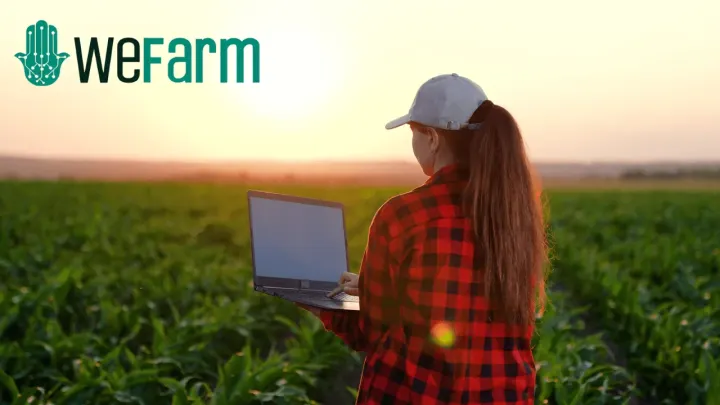 Tarım arazilerinden gelir elde etmeyi kolaylaştıran platform: WeFarm - Yeni bir tarım gelir kaynağı!