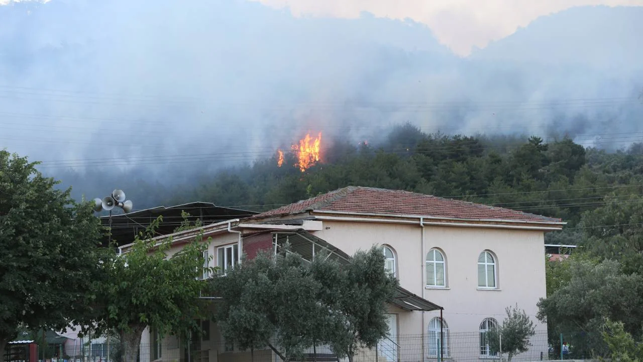 Hatay’da Orman Yangını Sürüyor: 920 Ev Tahliye Edildi, Müdahale Aralıksız Devam Ediyor