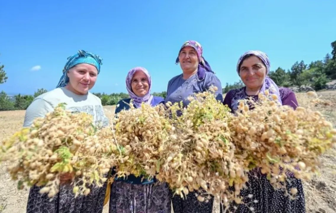 Tohumlar Geleceğe Güvenle Taşınıyor.