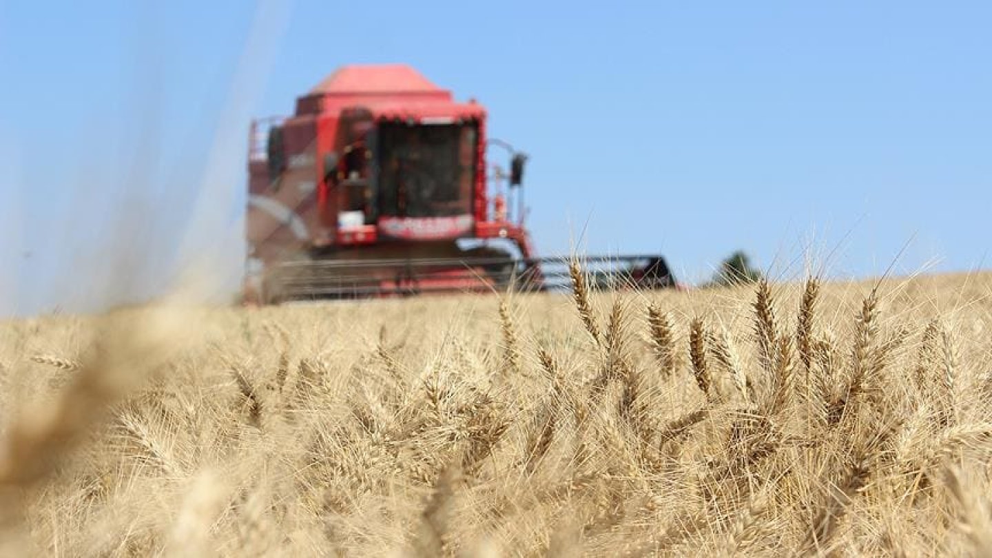 Çiftçi Destekleri Hesaplara Yatırıldı