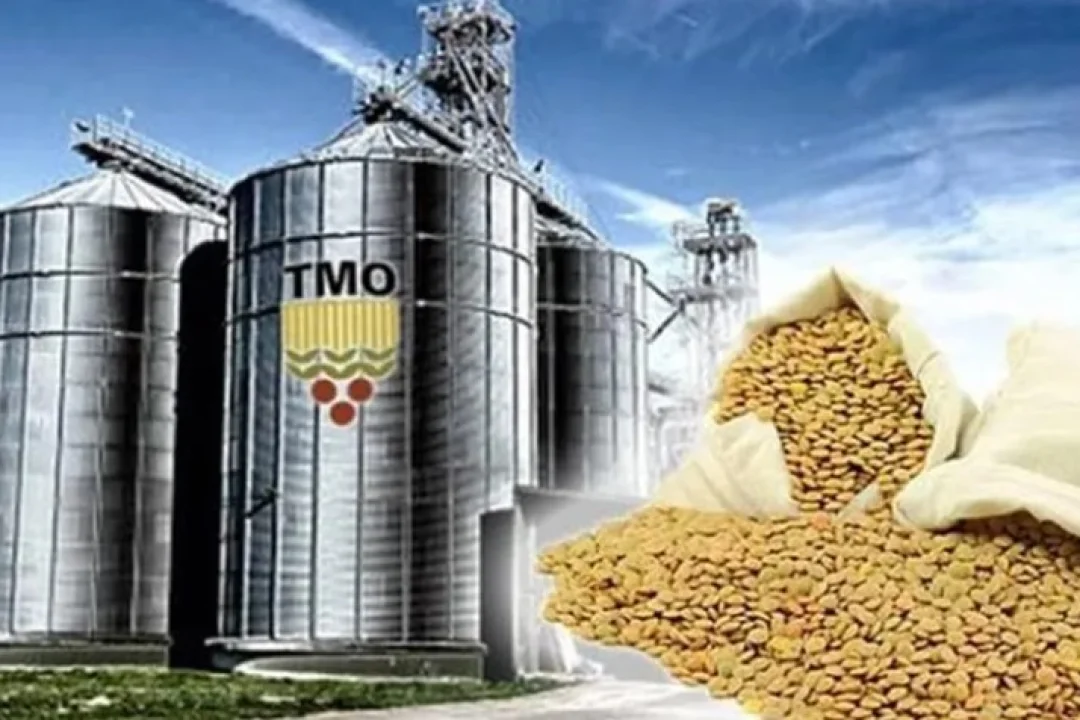 TMO'dan Tarım Ürünleri İthalatında Yeni İhale Sistemi