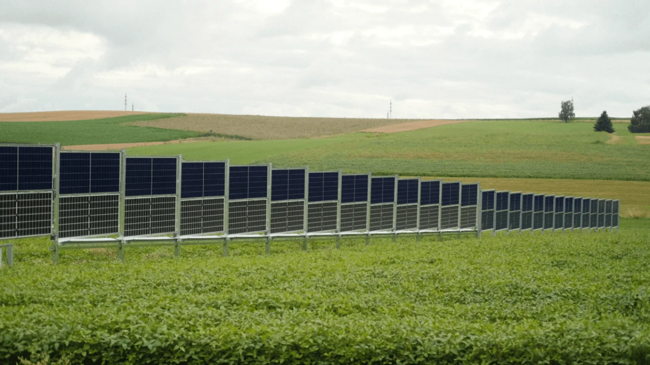 Tarım teknolojisi girişimi feld.energy, 10 milyon euro'nun üzerinde yatırım elde etti.