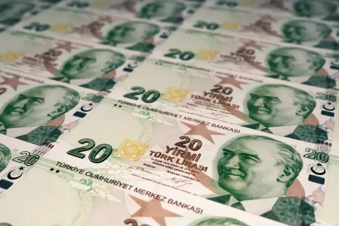 Merkez Bankası'ndan Yeni 20 TL Banknot Kararı: Bugün Tedavülde