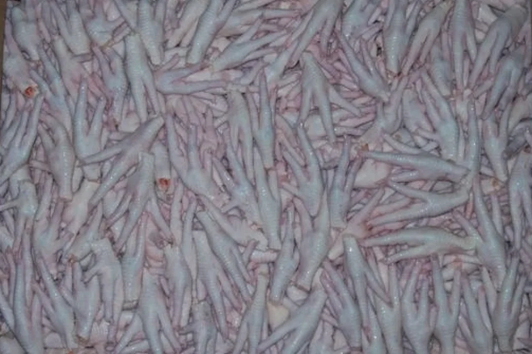 Kanatlı Sektörü, Tavuk Ayağı İhracatında Çin'den Gelen Beklentileri Karşılıyor