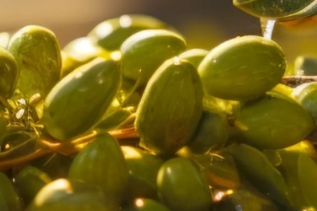 Marmarabirlik, Üçüncü Dilim İçin Geri Sayımı Başlatıyor