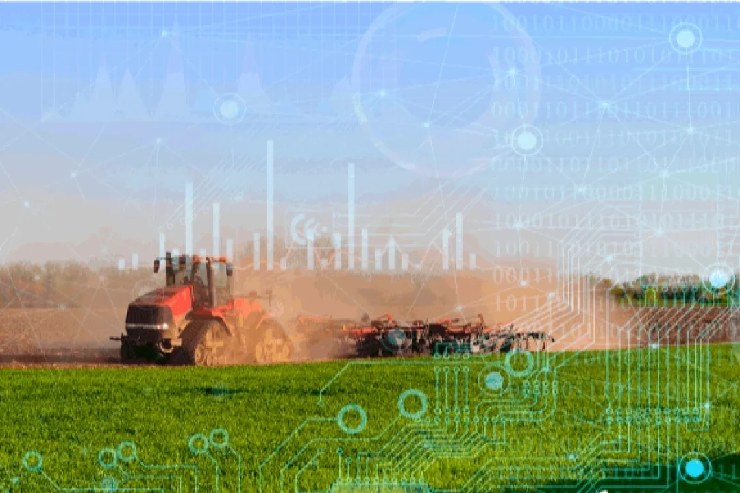 Bitkisel Üretimde 2025 Yılında Azalış: TÜİK'ten Açıklama