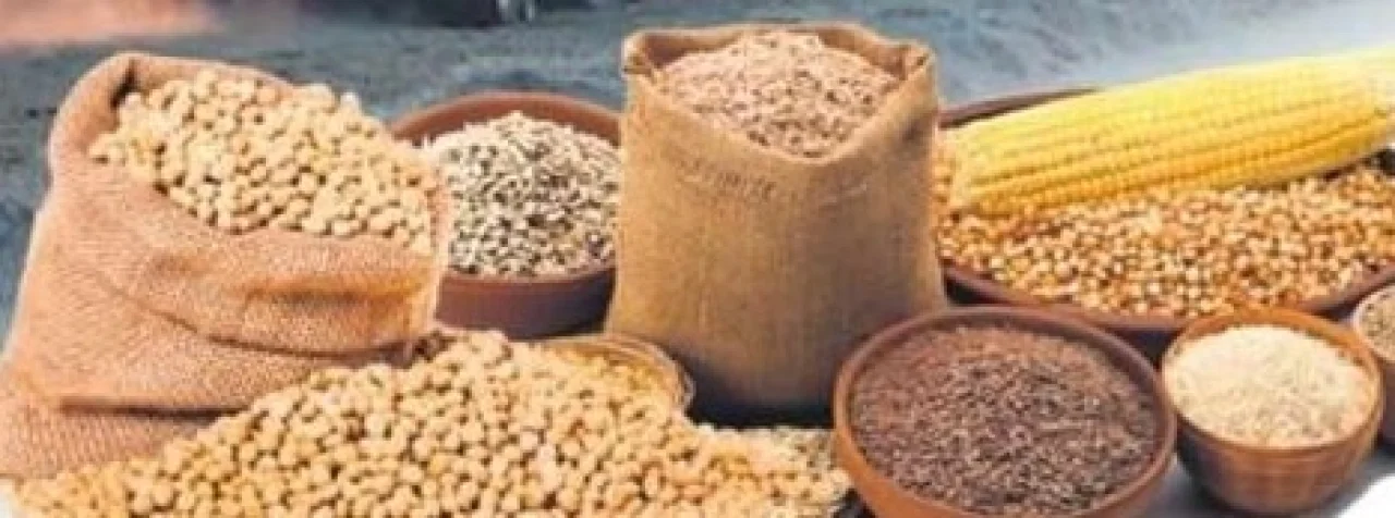 Tarım Ürünlerinde Üretici Fiyatları Yıl Sonunda Yine Yükseldi