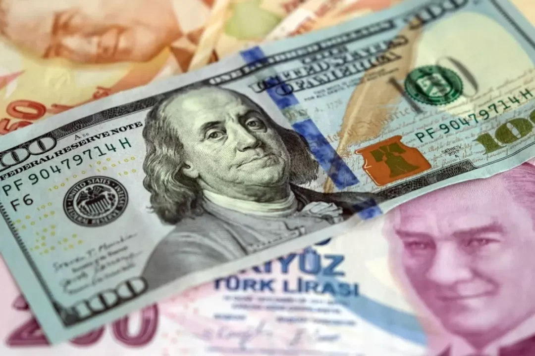 TCMB Piyasa Anketi: Yıl Sonu Enflasyon ve Dolar/TL Beklentisi Belli Oldu