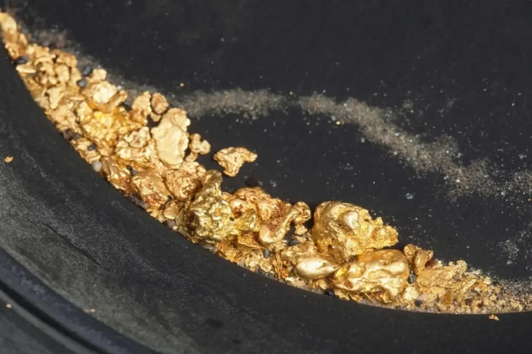 Surinam’da Dev Altın Rezervi Keşfi: Yüksek Tenörlü Damar Küresel Dikkat Çekti