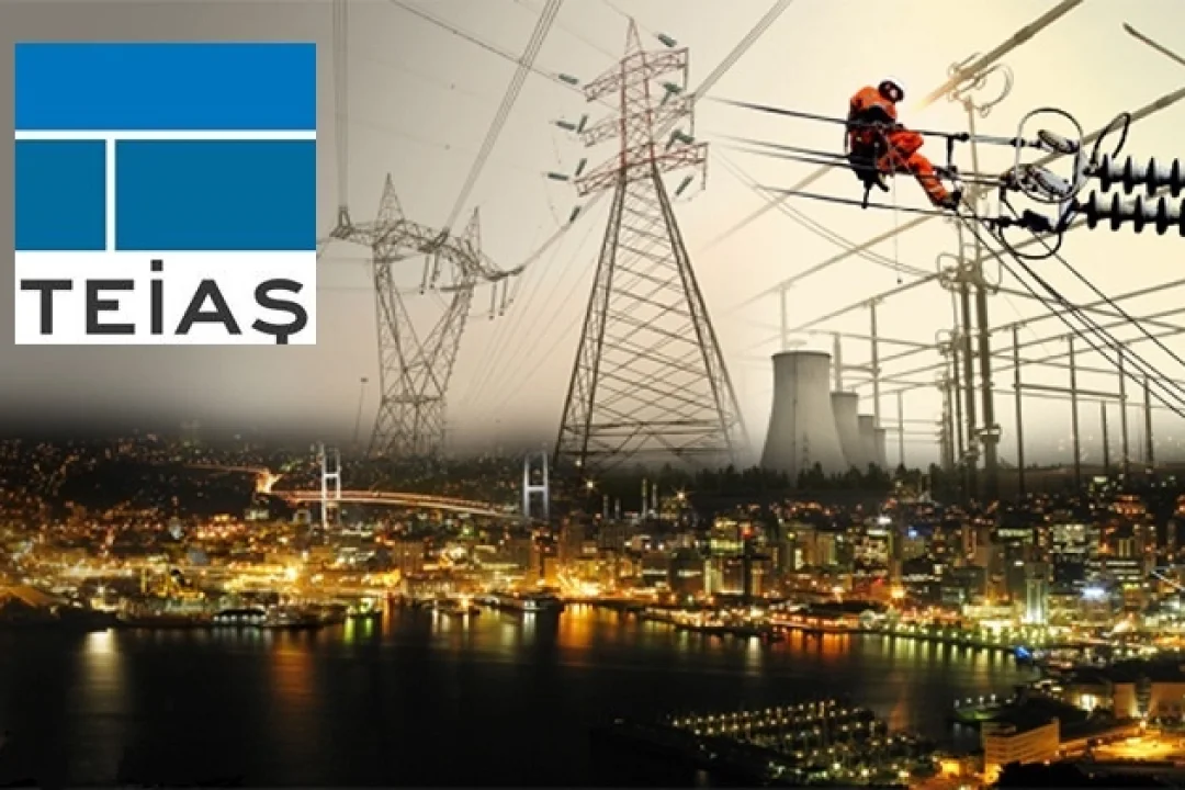 TEİAŞ, Elektrik Piyasasında Tek Yetkili Oldu